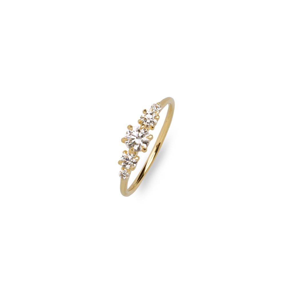 diara-crown-1